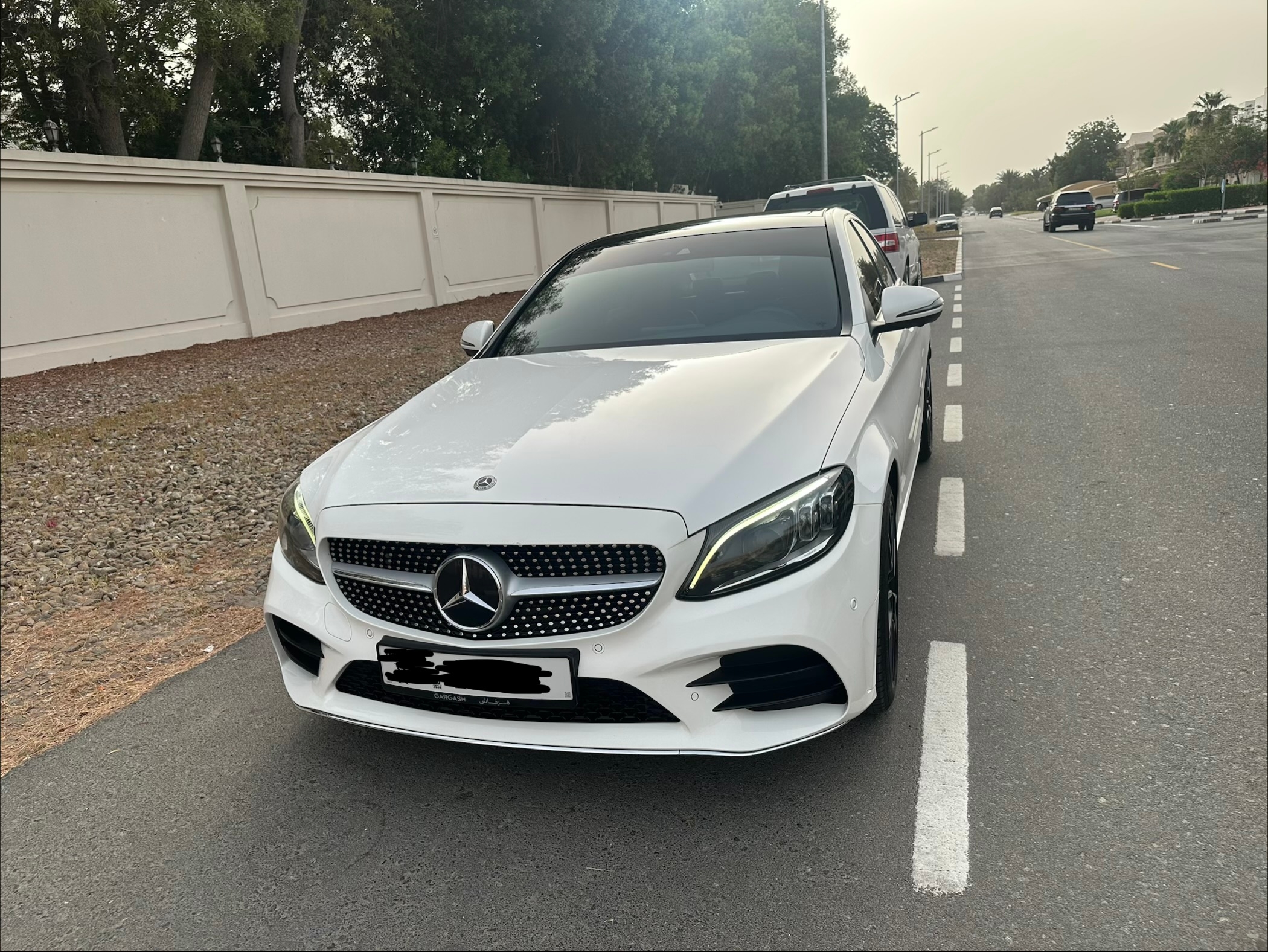 Bianca Mercedes Benz C Class 2020